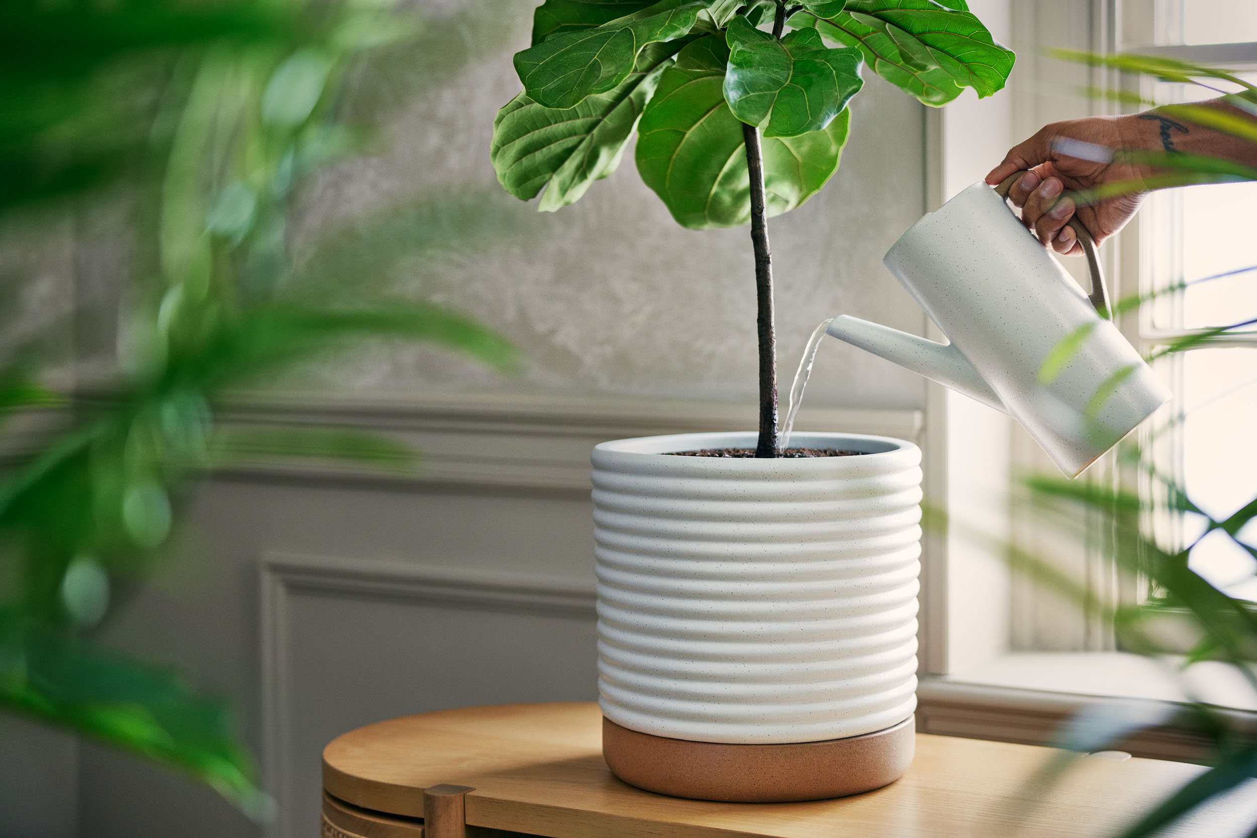 TARGET STORES COMMERCIAL ADVERTISING CAMPAIGN PHOTOGRAPHY FOR TARGET PROJECT GROW PLANT INFLUENCER HILTON CARTER CELEBRITY PORTRAIT PHOTOGRAPHER